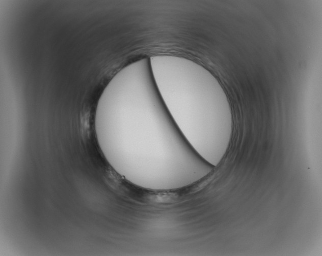 X0000113050670200908271056