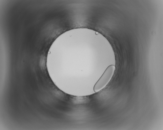 X0000113050672200908271056