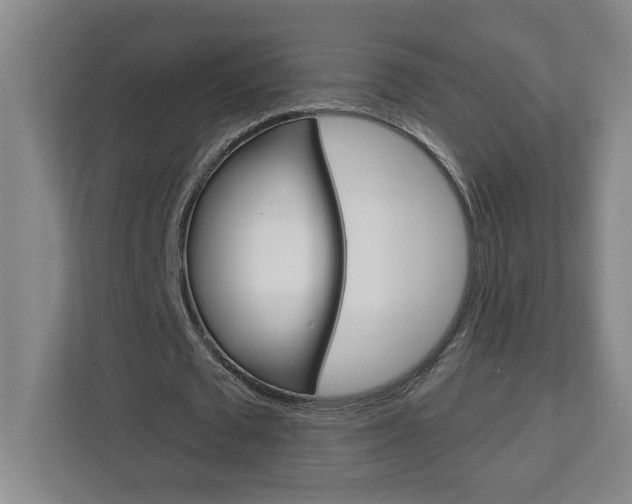 X0000113050673200908271055