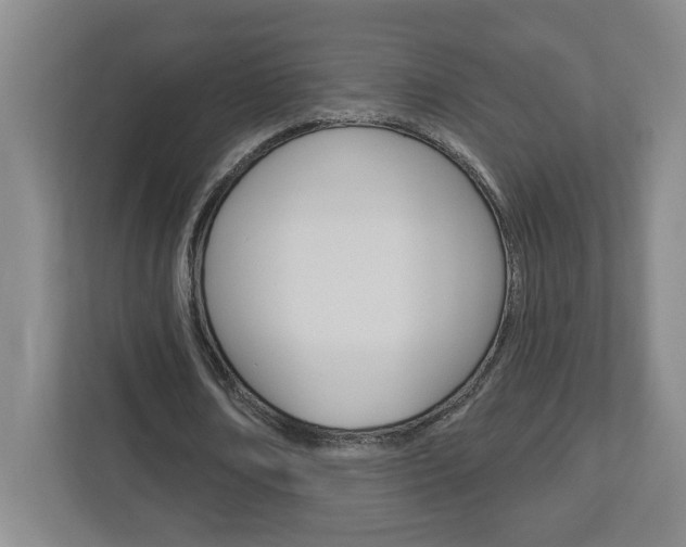 X0000113050674200908271055