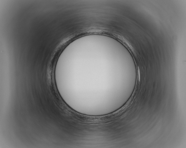 X0000113050675200908271055