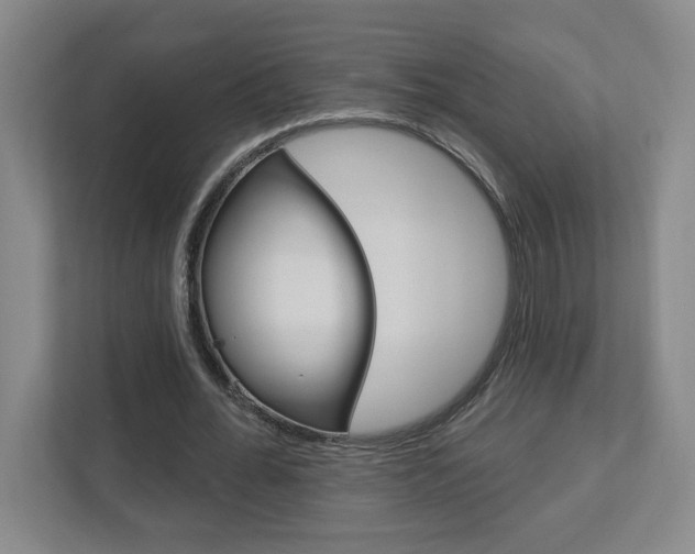 X0000113050676200908271055