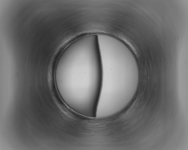 X0000113050677200908271055