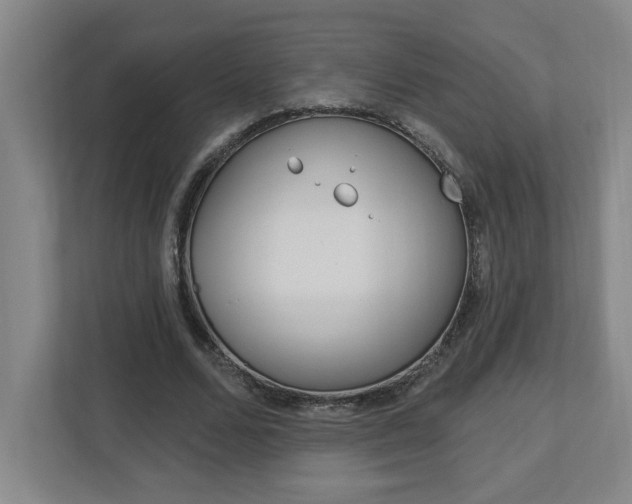 X0000113050680200908271055