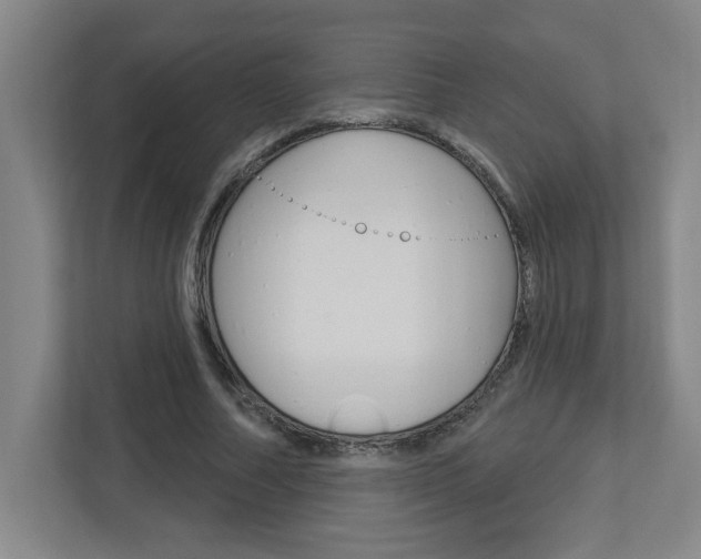 X0000113050682200908271055