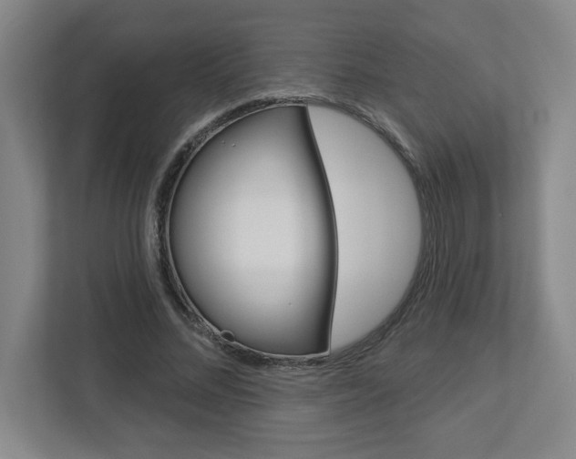 X0000113050684200908271055
