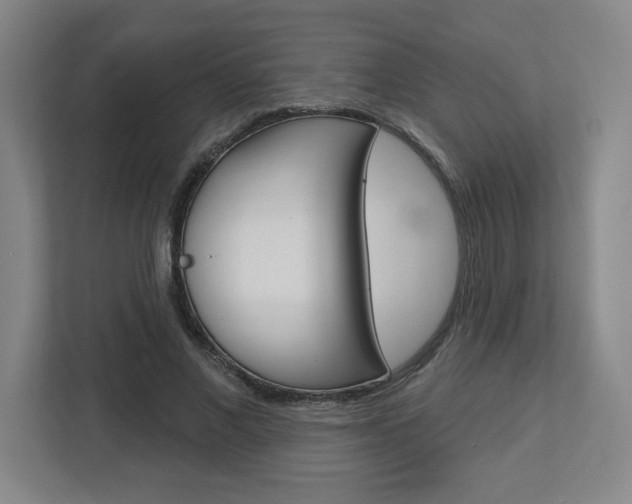 X0000113050685200908271055