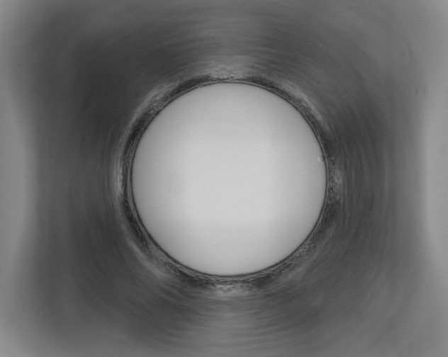 X0000113050686200908271055