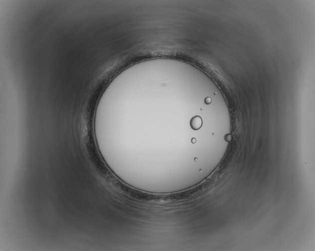 X0000113050687200908271055