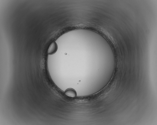 X0000113050689200908271055