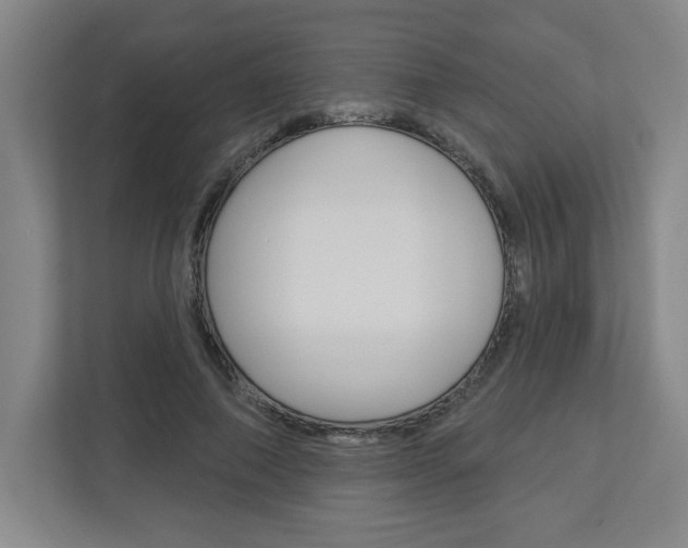 X0000113050690200908271055
