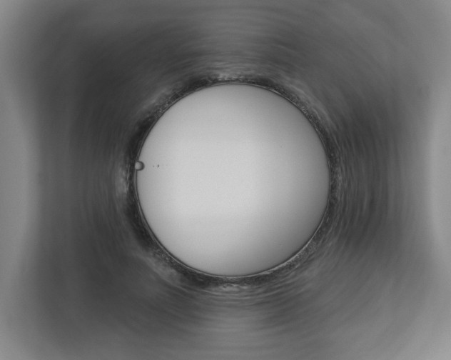 X0000113050691200908271055