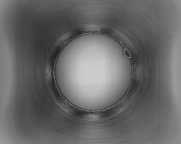 X0000113050692200908271055