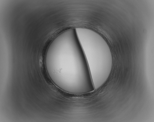 X0000113050693200908271055