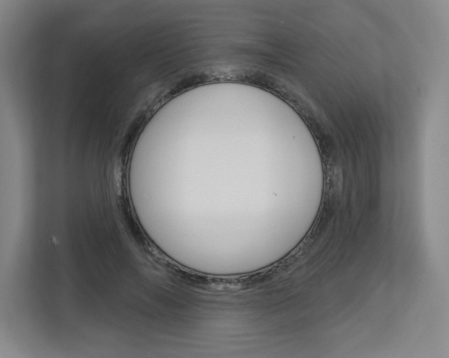 X0000113050694200908271055