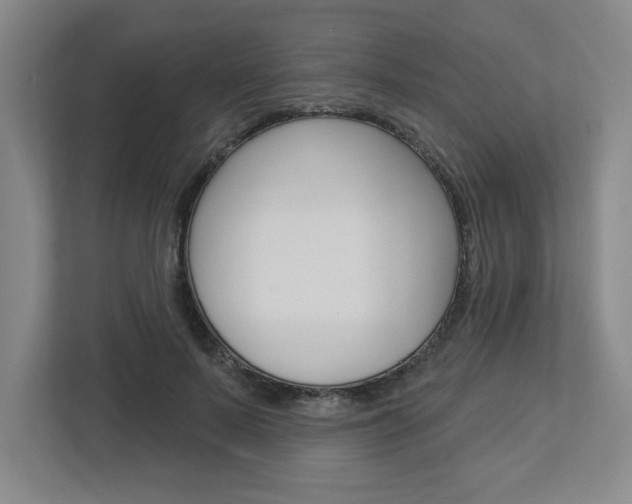 X0000113050695200908271055