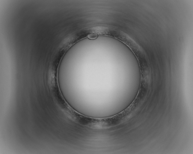 X0000113050696200908271055