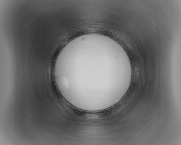 X0000113050698200908271055