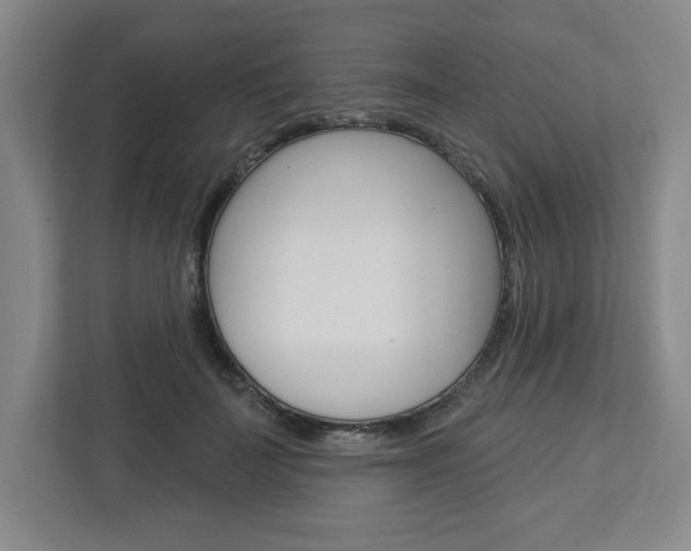 X0000113050699200908271055