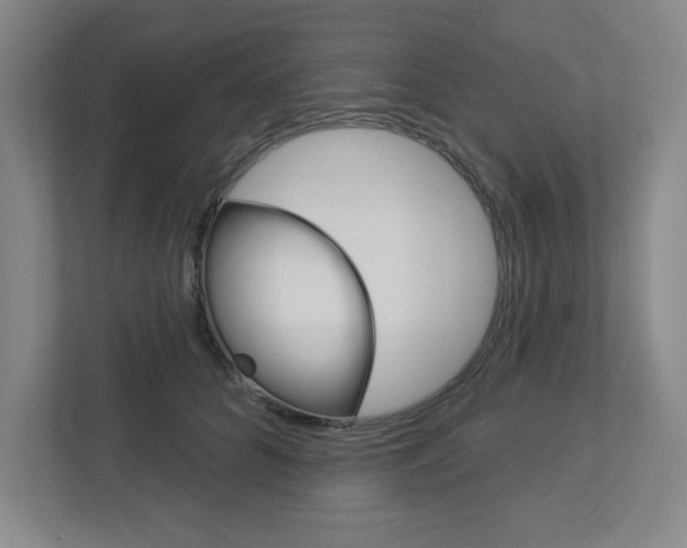 X0000113050704200908271055