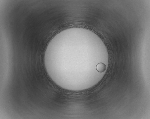 X0000113050708200908271055
