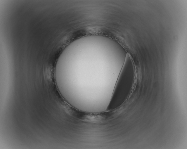 X0000113050712200908271055
