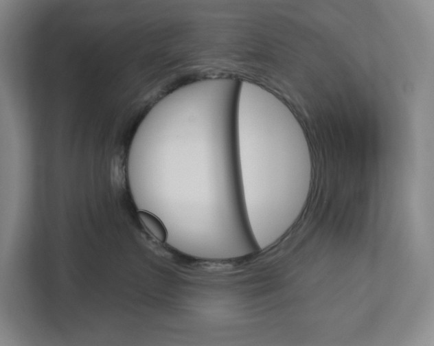 X0000113050719200908271055