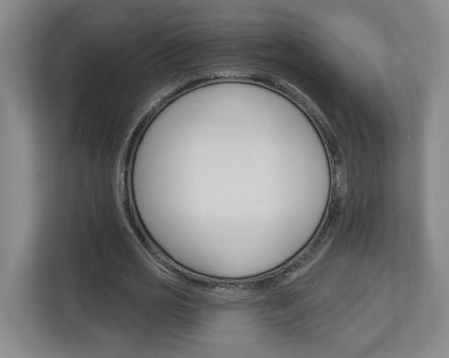 X0000113050725200908271054
