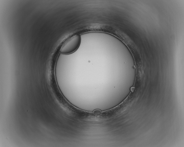 X0000113050728200908271054