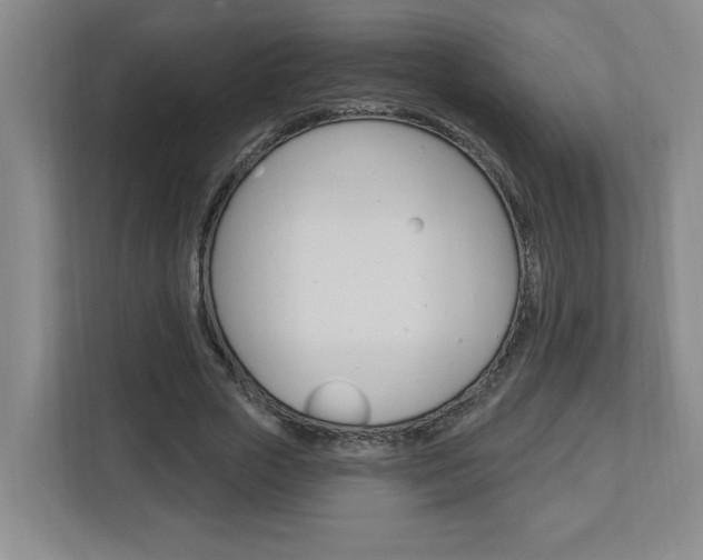 X0000113050729200908271054