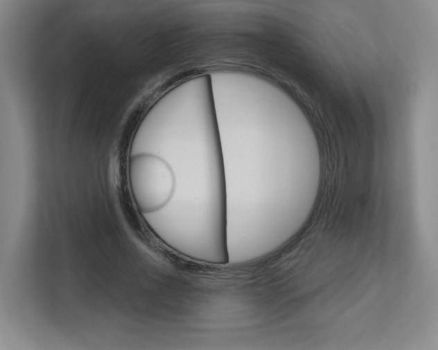 X0000113050734200908271054