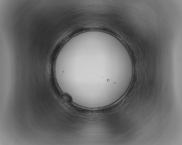 X0000113050735200908271054