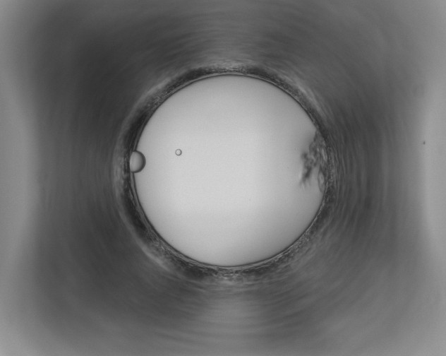 X0000113050736200908271054