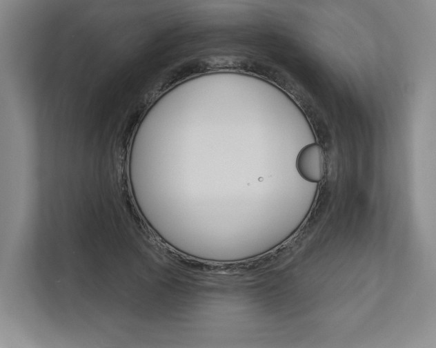 X0000113050737200908271054