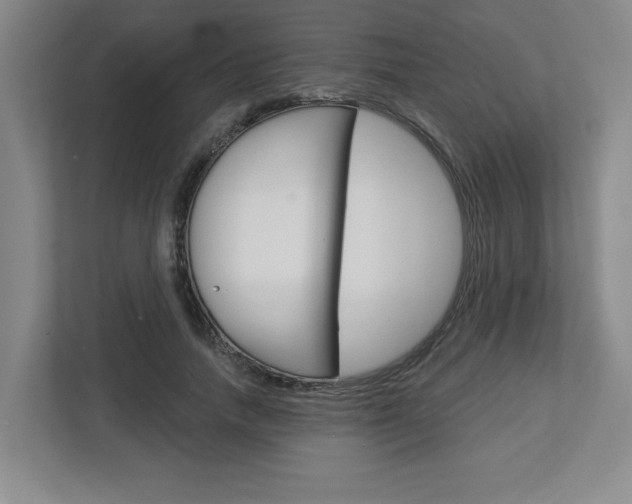 X0000113050738200908271054