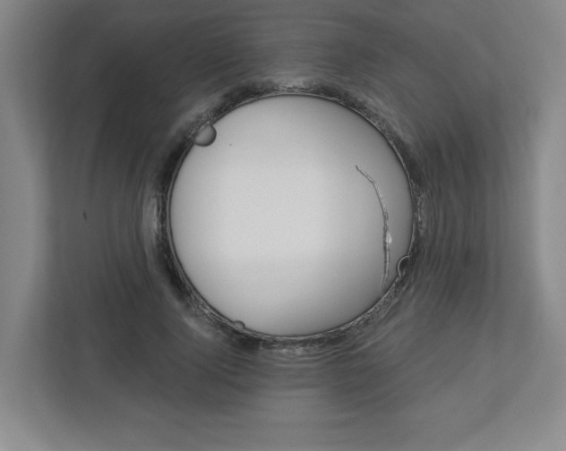 X0000113050740200908271054