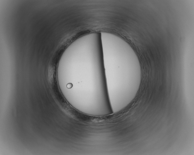 X0000113050742200908271054