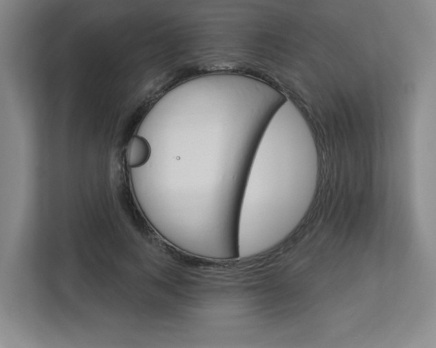 X0000113050743200908271054