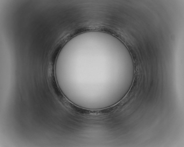 X0000113050744200908271054