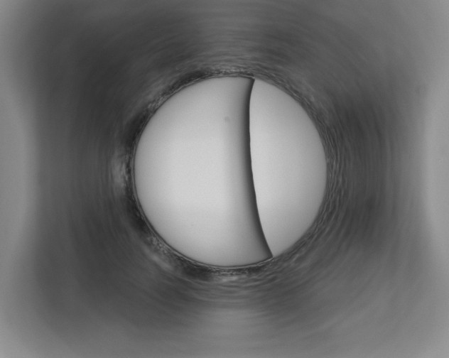 X0000113050746200908271054