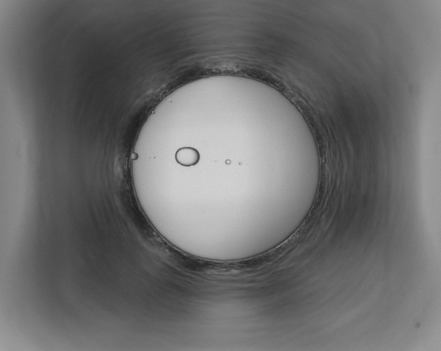 X0000113050747200908271054