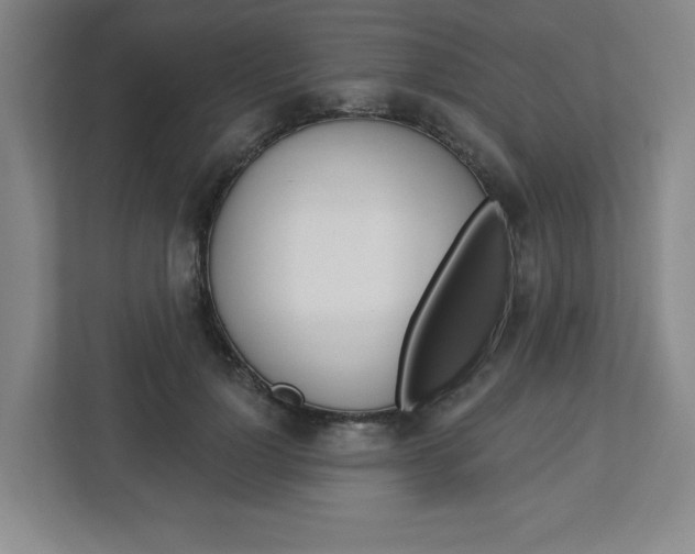 X0000113050748200908271054