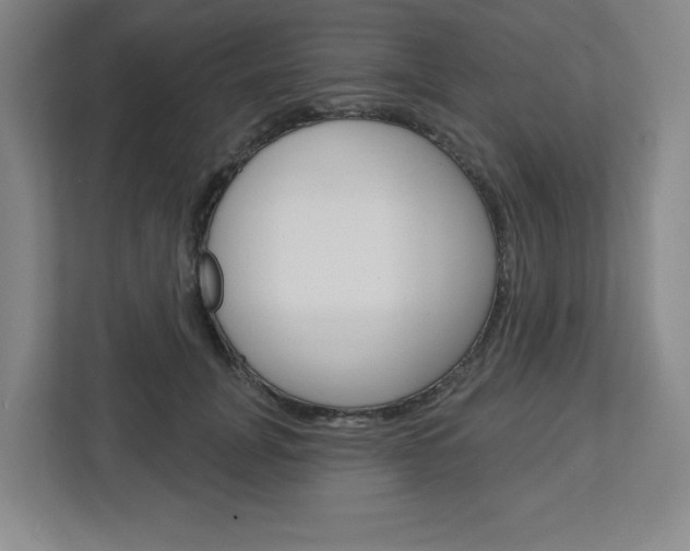 X0000113050751200908271054