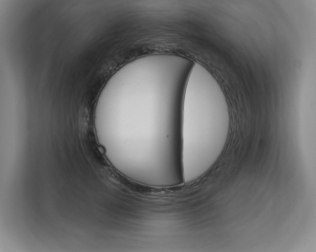 X0000113050752200908271054