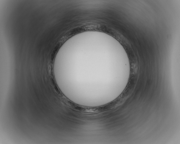 X0000113050753200908271054