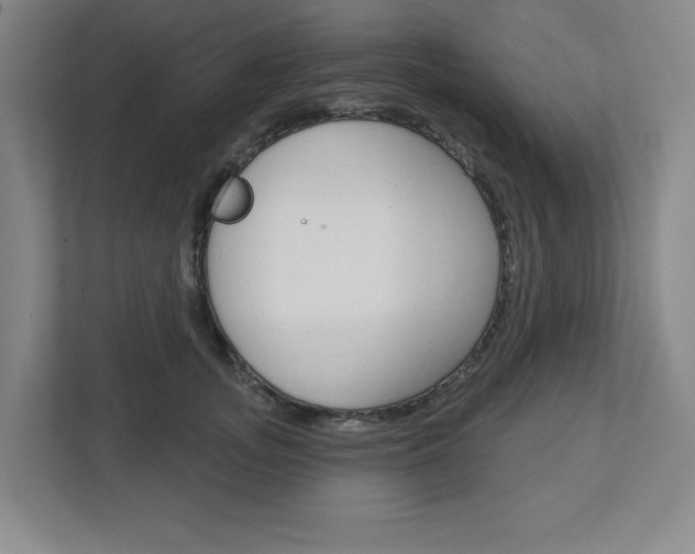 X0000113050755200908271054