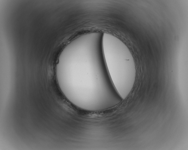 X0000113050756200908271054