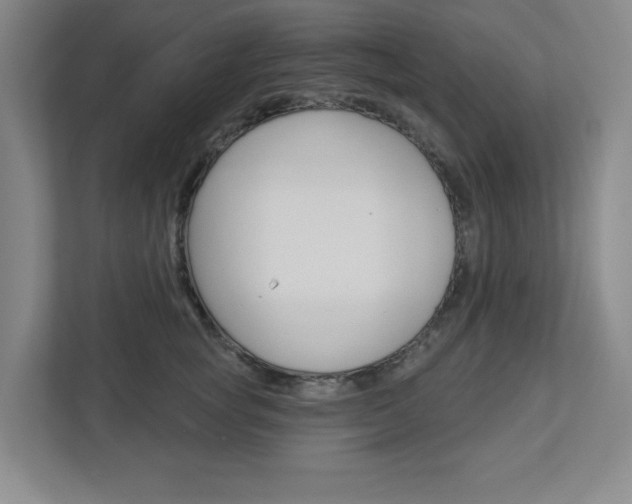 X0000113050757200908271054
