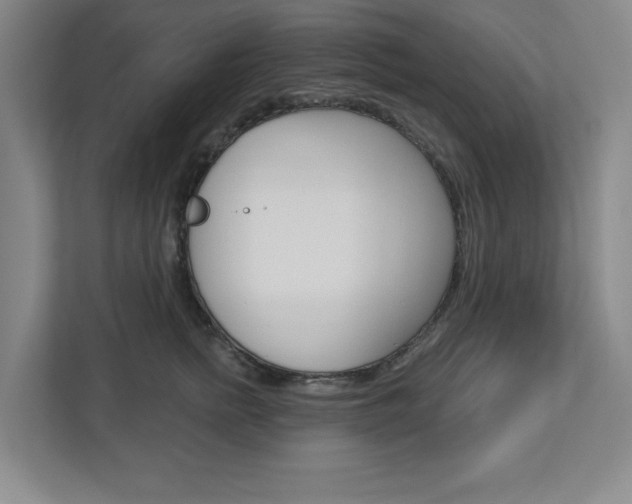 X0000113050758200908271054