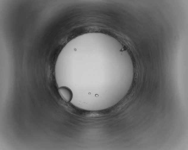 X0000113050759200908271054